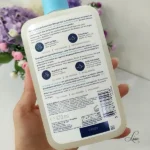 نمای پشت